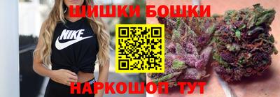 a pvp Камышлов