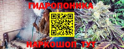 a pvp Камышлов