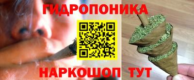 a pvp Камышлов