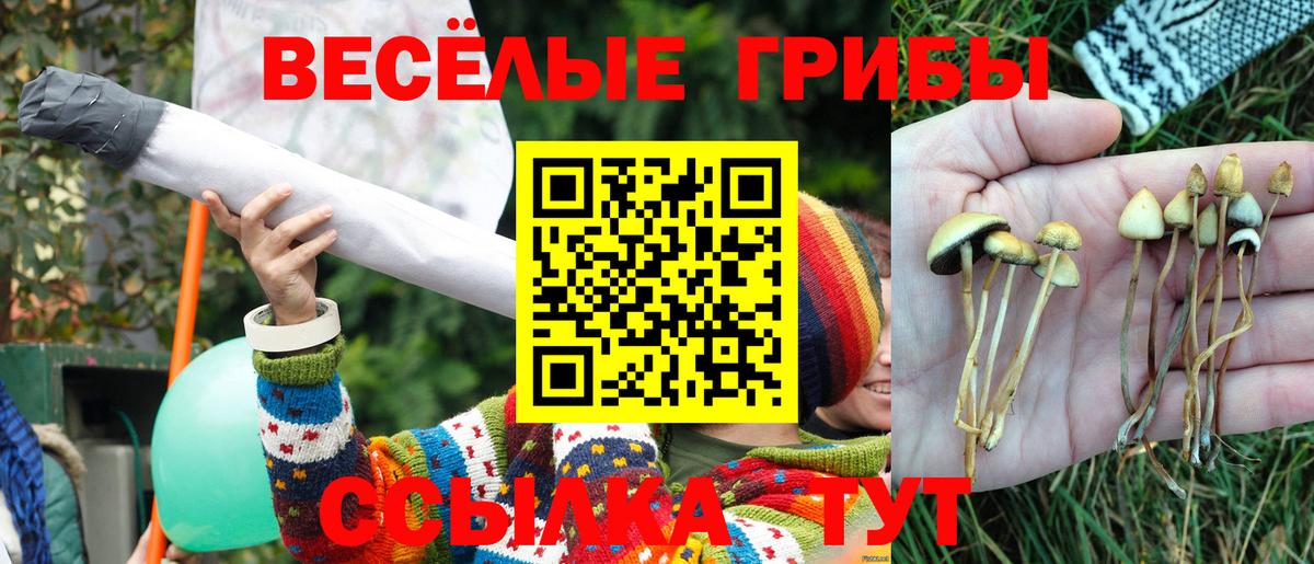 Галлюциногенные грибы прущие грибы  Вход с VPN  Вичуга 