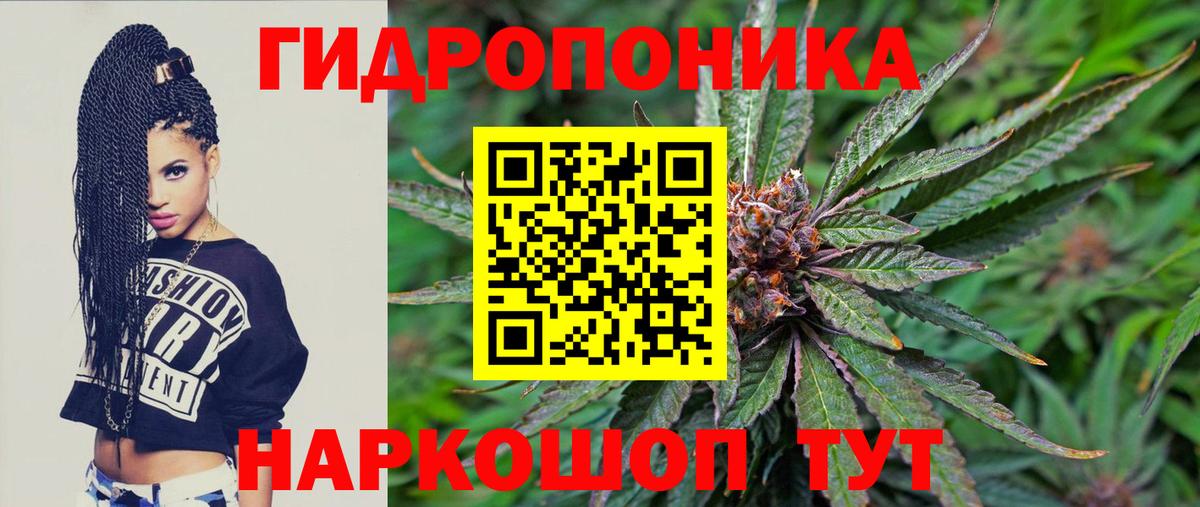 Марихуана сатива  Вход с VPN  Вичуга  Каннабис сатива  Бошки марихуана сатива  Бошки Шишки гибрид 